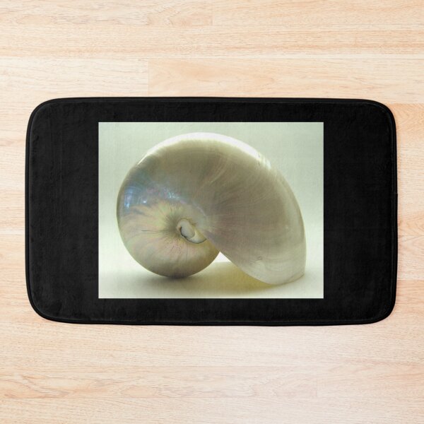 Item preview, PRETTY BEACH SHELL #1 designed and sold by John N.  Stewart.
