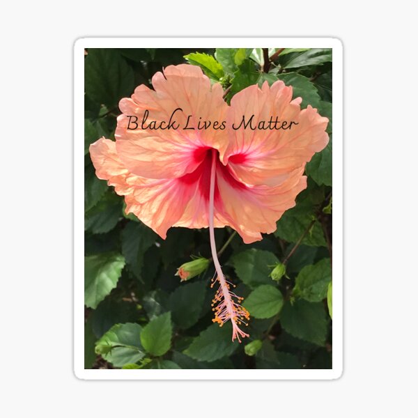 Chinese Hibiscus- Black Live Matter Sticker