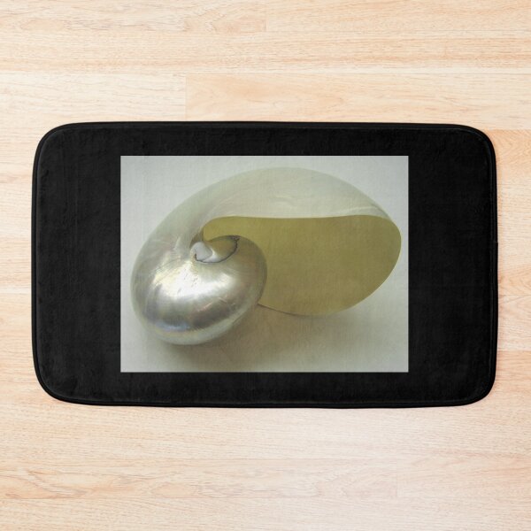 Item preview, PRETTY BEACH SHELL #3 designed and sold by John N.  Stewart.