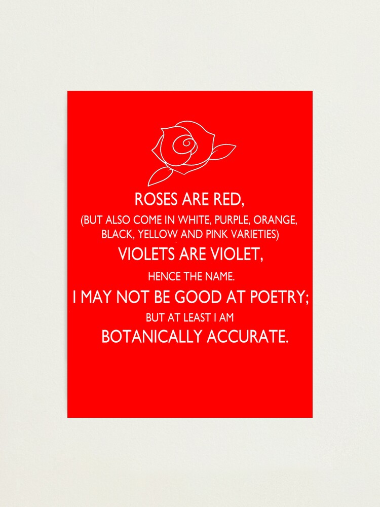 Roses Are Red Violets Are Violet Photographic Print By Macliam