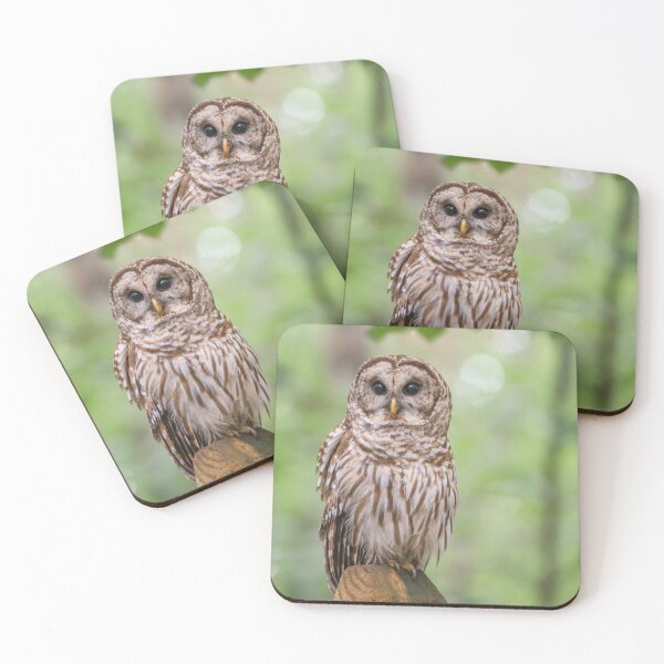 Item preview, Barred Owl on Fencepost designed and sold by Susan Watson.