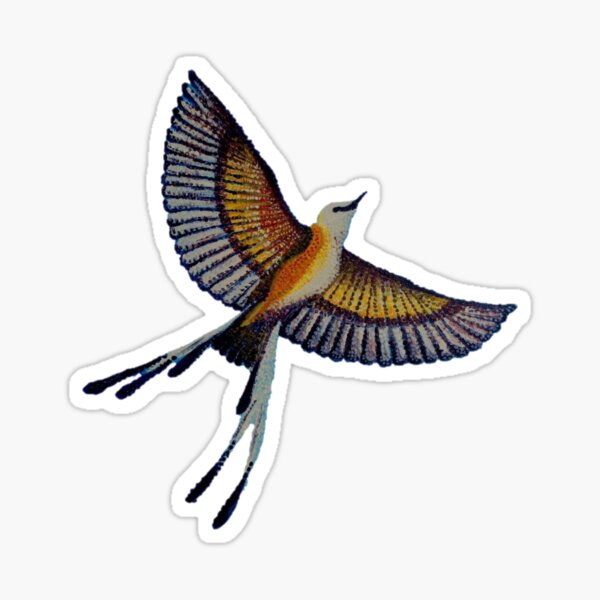 Scissortail Sticker