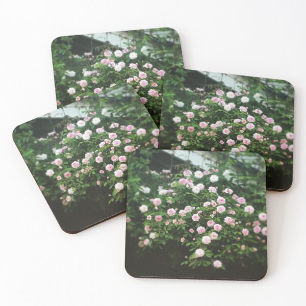 Item preview, Portland Roses designed and sold by hhdeutsch.
