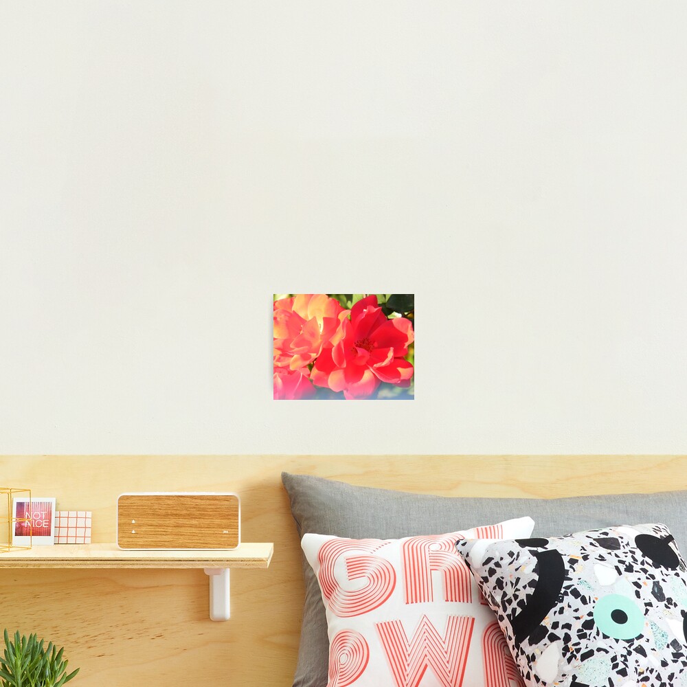 Vista previa del artículo con la obra «Lámina fotográfica», diseñado y vendido por Navigator.