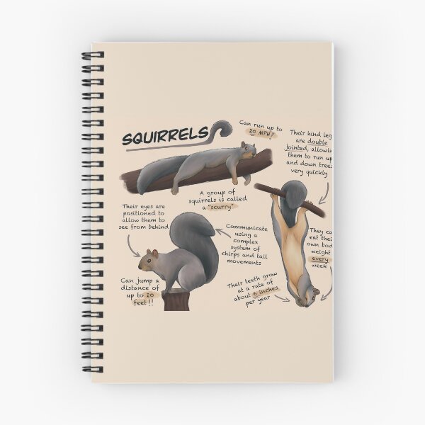 Item preview, Squirrels Fun Facts designed and sold by troyanthonyart.