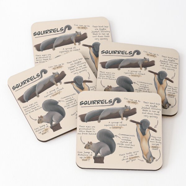 Item preview, Squirrels Fun Facts designed and sold by troyanthonyart.