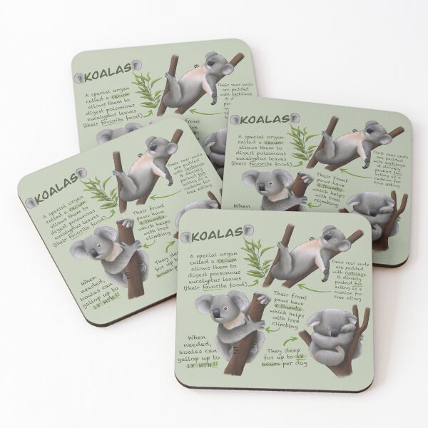 Item preview, Koalas Fun Facts designed and sold by troyanthonyart.