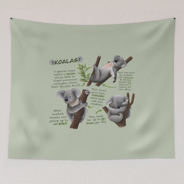 Item preview, Koalas Fun Facts designed and sold by troyanthonyart.
