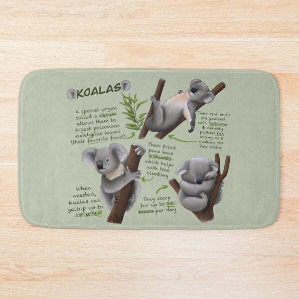 Item preview, Koalas Fun Facts designed and sold by troyanthonyart.