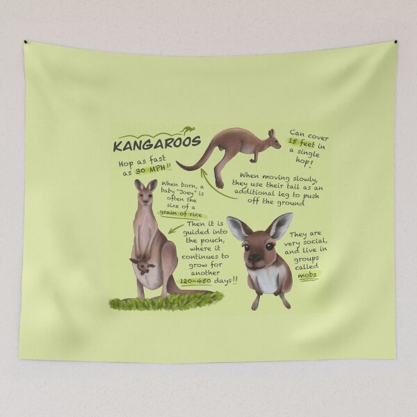 Item preview, Kangaroos Fun Facts designed and sold by troyanthonyart.