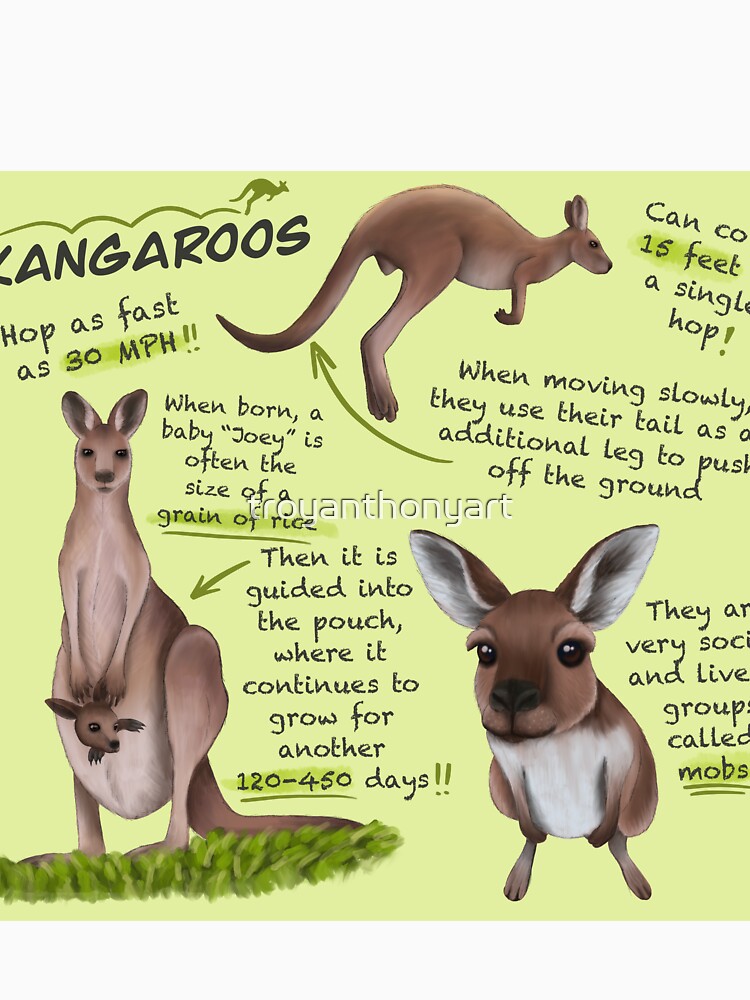 | Sale for Hoodie Kangaroos troyanthonyart Fun by Pullover Redbubble Facts\