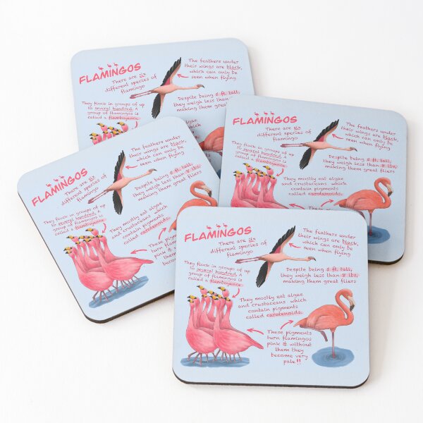 Item preview, Flamigos Fun Facts designed and sold by troyanthonyart.
