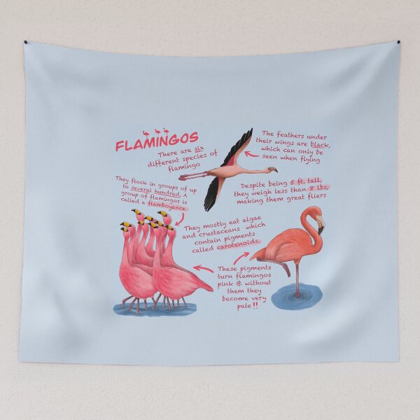 Item preview, Flamigos Fun Facts designed and sold by troyanthonyart.