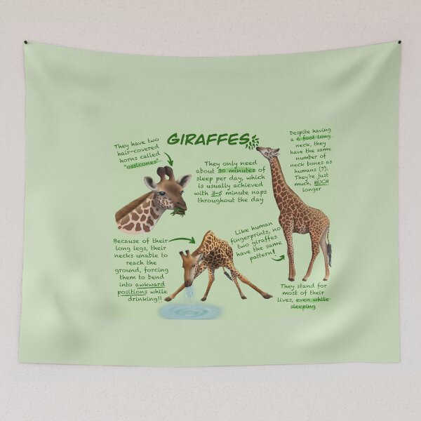 Item preview, Giraffes Fun Facts designed and sold by troyanthonyart.
