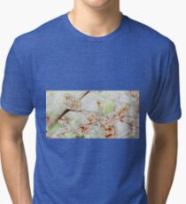 Watercolor Blossoms Tri-blend T-Shirt