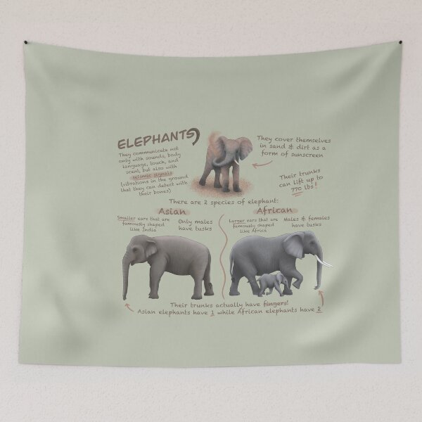 Item preview, Elephants Fun Facts designed and sold by troyanthonyart.