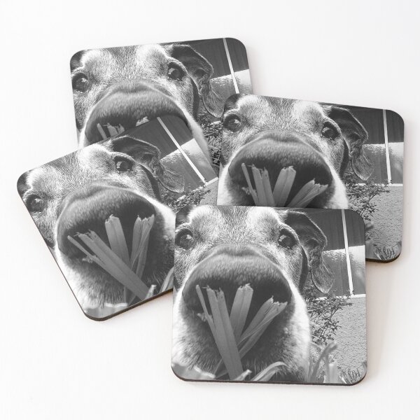 Item preview, JANGO designed and sold by damek.