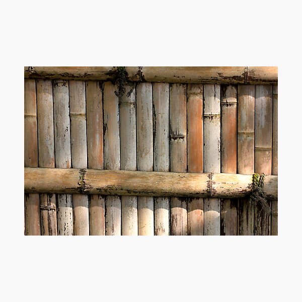 withered lines Photographic Print