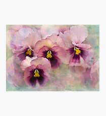 pretty maids all in a row Photographic Print