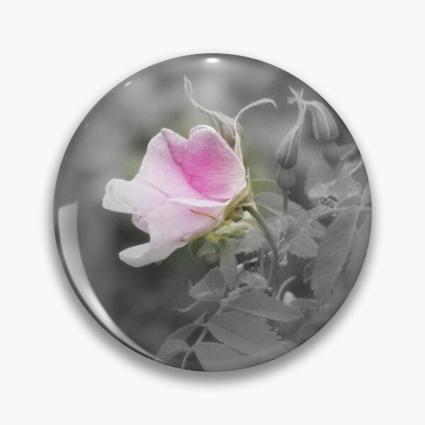 Artikelvorschau, elegant old fashioned pink rose entworfen und verkauft von Dawna Morton.