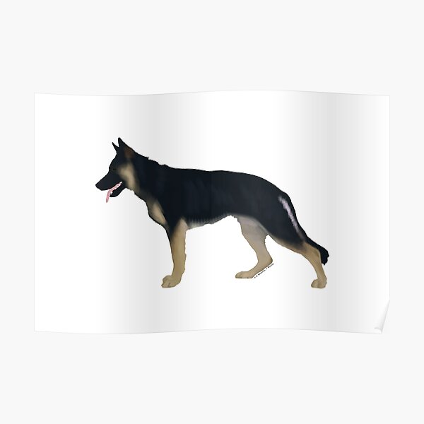 blanket german shepherd