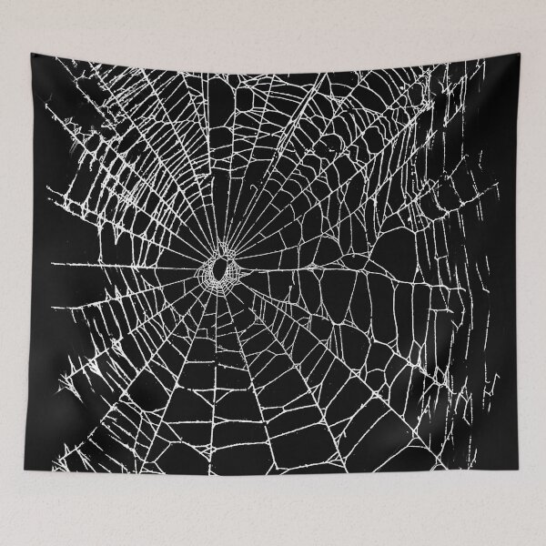 Item preview, Spiderweb dark designed and sold by crowcrows.