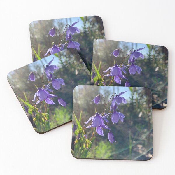 Item preview, Bluebells at Sandstone Caves designed and sold by Vivian Evans.
