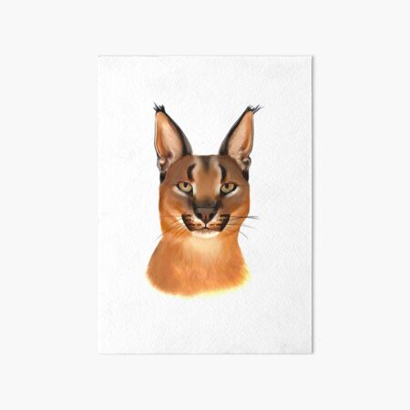 信州まなぶ ポスター Caracal Artwork Caracal Art Prints, Posters & Puzzles