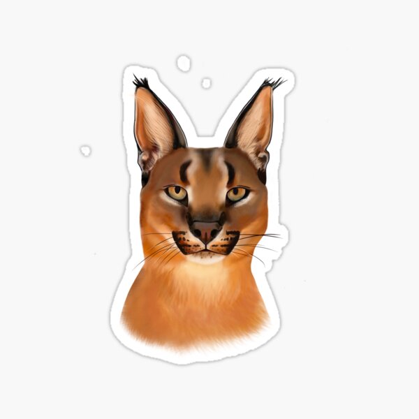 Caracal Gifts & Merchandise | Redbubble