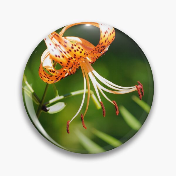 Item preview, Orange Lily Flower Limited Art Print Edition Barcelona designed and sold by artprints4you.