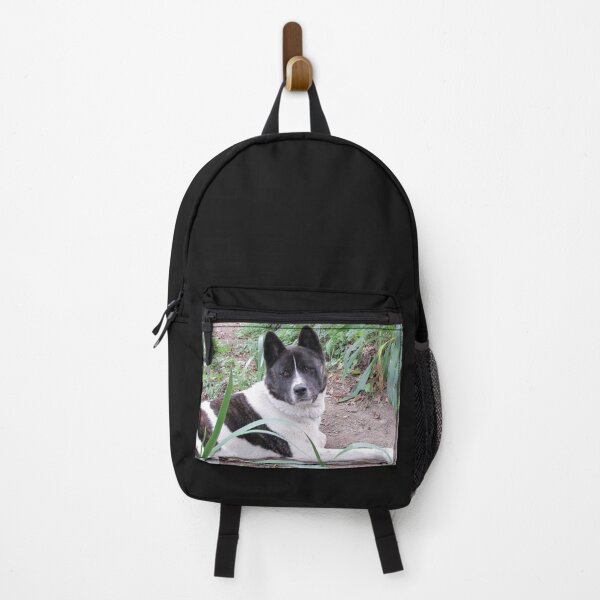 Item preview, Brindle And White Akita designed and sold by KarenWoodArt.