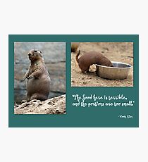Groundhog Photographic Print