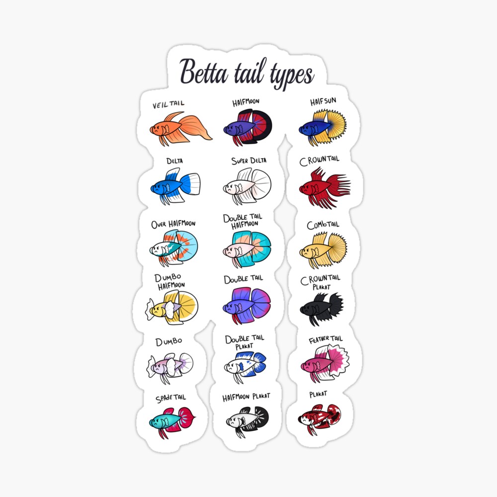 5 Pack Betta Fish Stickers/Magnets/Clings