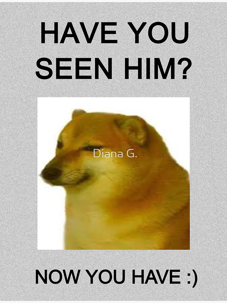 HAVE YOU SEEN HIM