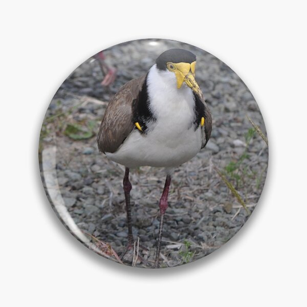 Item preview, Catalina Festival, Rathmines, Australia 2016-Plovers designed and sold by muz2142.