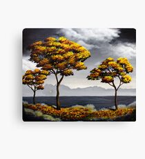 Falling Canvas Print