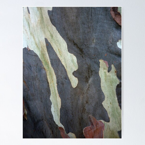 Bark Abstract # 5 Poster