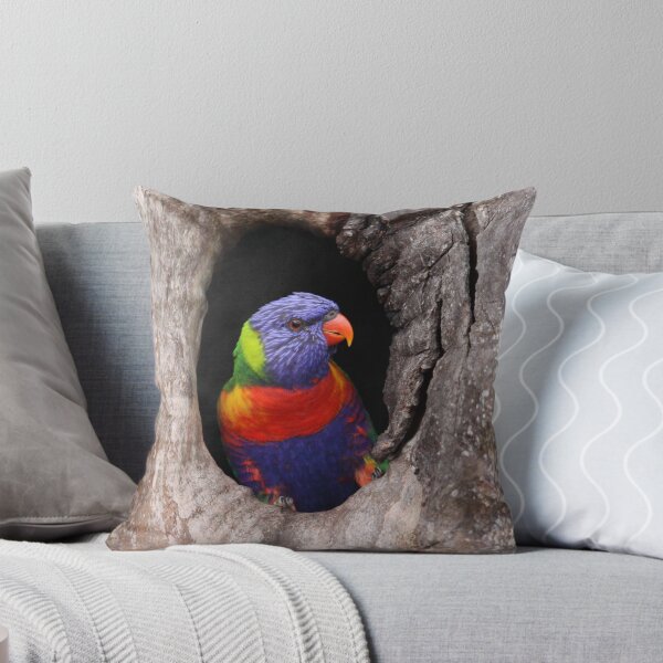 Item preview, Home sweet home - a Rainbow Lorikeet sitting in a Tree hollow designed and sold by OzTamizhan.