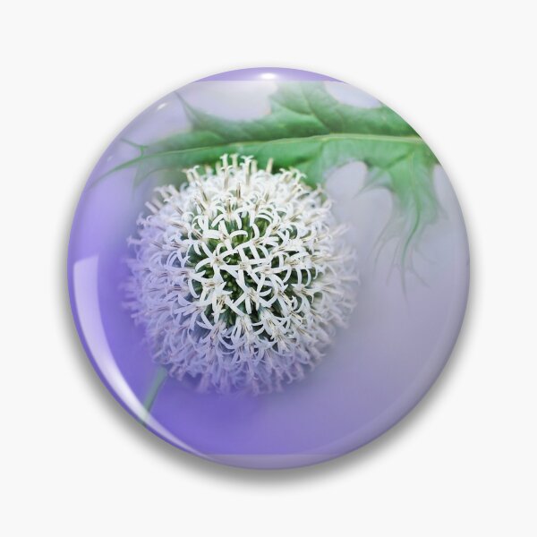Item preview, Globe Thistle  designed and sold by Alisonchambers2.