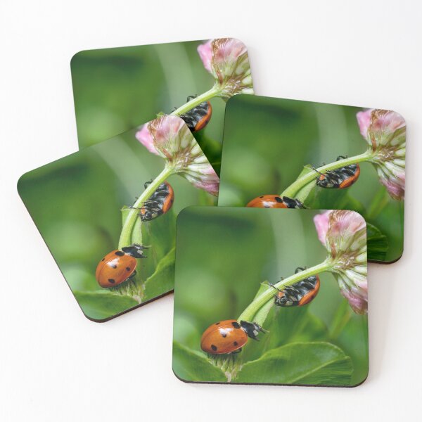 Item preview, Ladybugs designed and sold by SorryToBugYou.
