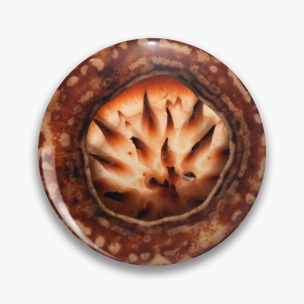 Item preview, Male Rafflesia pricei Flower - Composite View designed and sold by Carole-Anne.