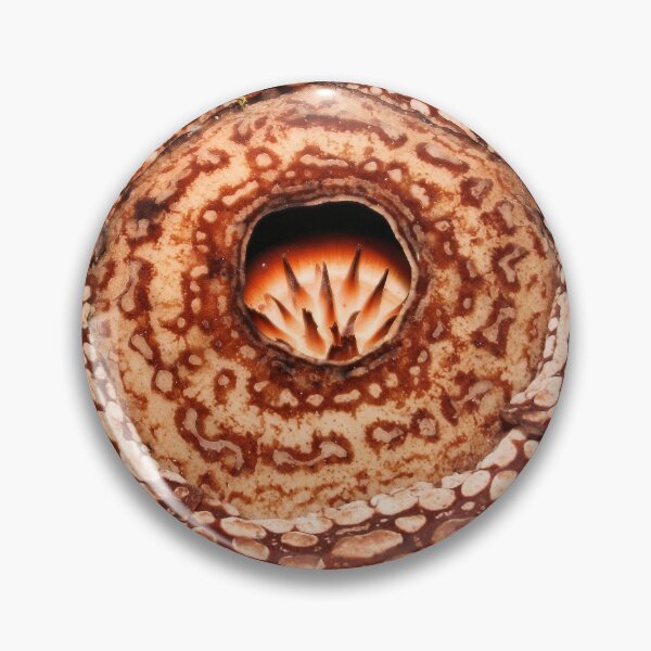 Item preview, Male Rafflesia pricei Flower designed and sold by Carole-Anne.