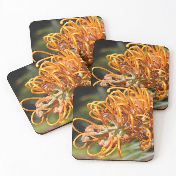 Item preview, Grevillea robusta 01 designed and sold by kevin Chippindall.