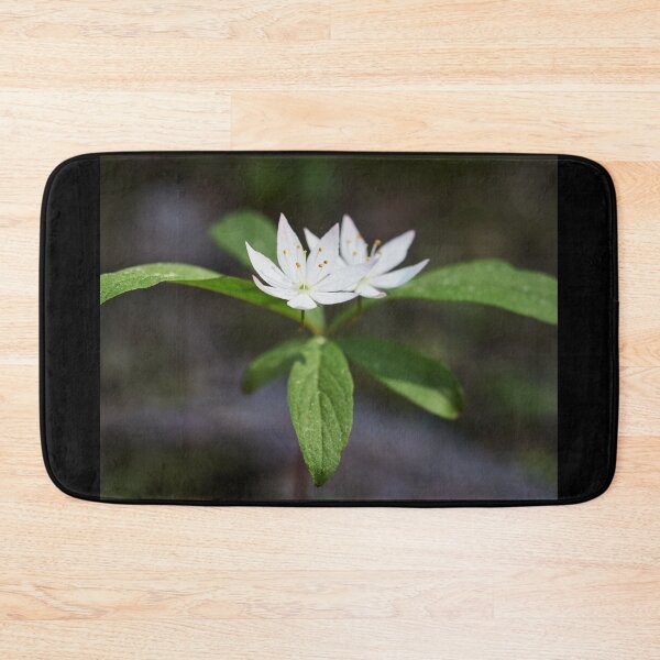 Item preview, Arctic starflower 6 designed and sold by Jouko Lehto Photography.