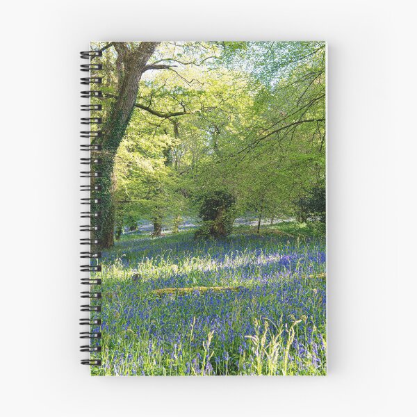 Item preview, Penrose is a mixture of rich farmland and woodland around Cornwall's largest natural lake, Loe Pool Porthleven covered in blue bells designed and sold by kathleenjean.
