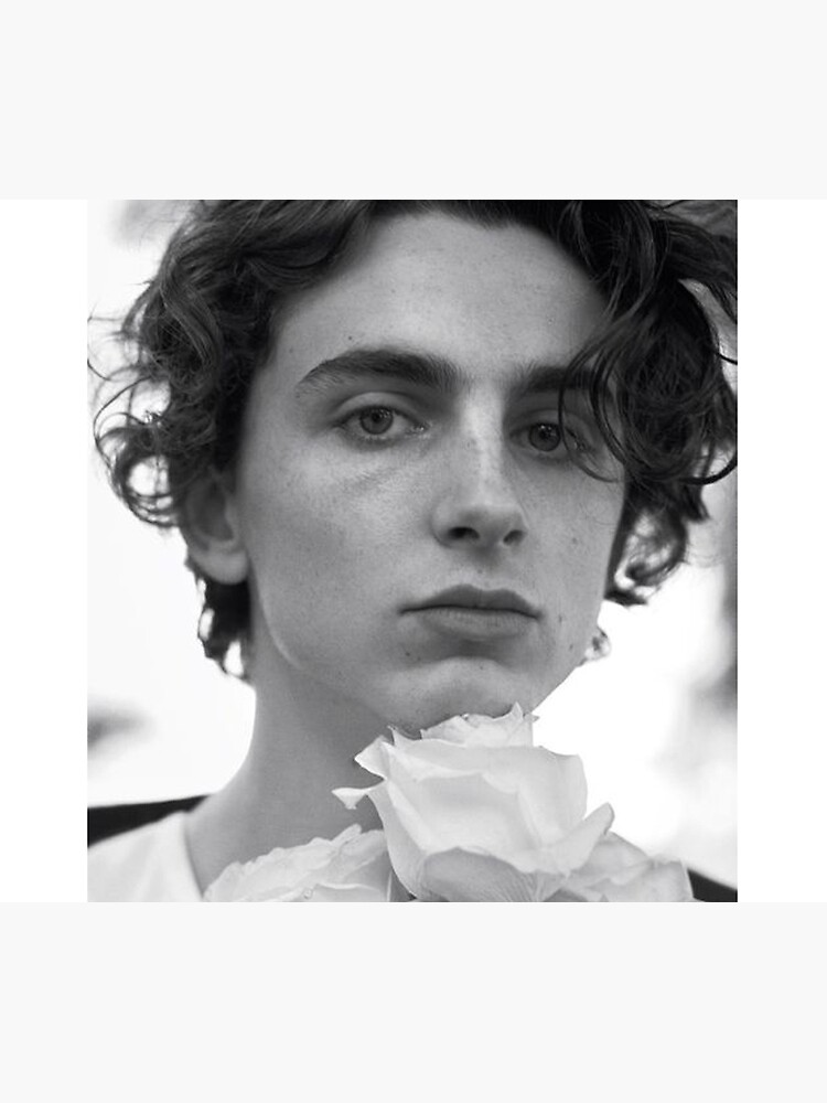 "vintage timothee chalamet" Throw Blanket by bazilebetty Redbubble
