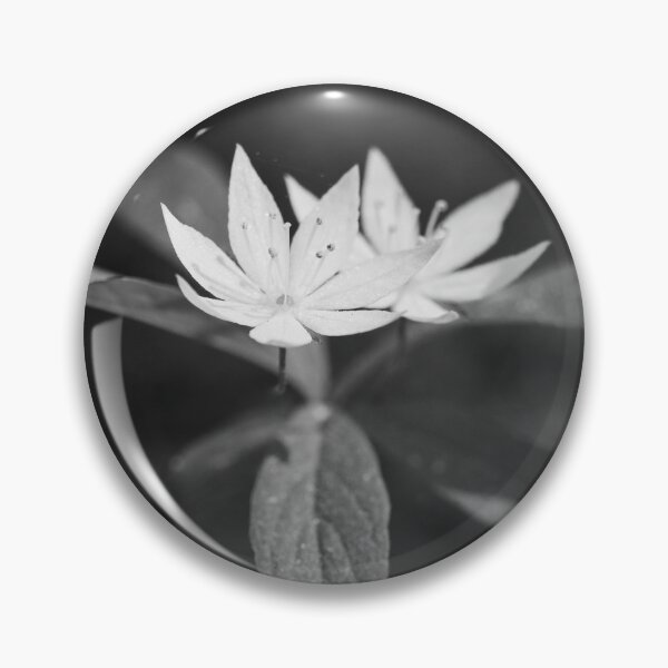 Item preview, Arctic starflower 6 bw designed and sold by Jouko Lehto Photography.