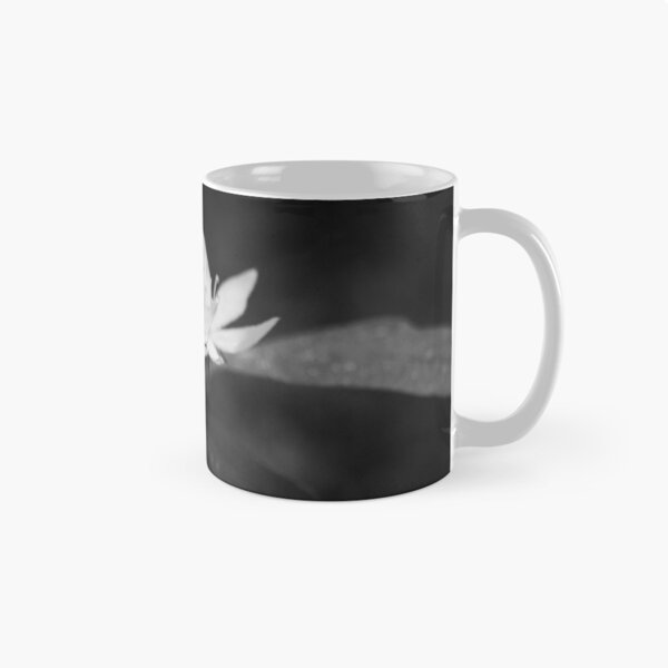 Item preview, Arctic starflower 6 bw designed and sold by Jouko Lehto Photography.