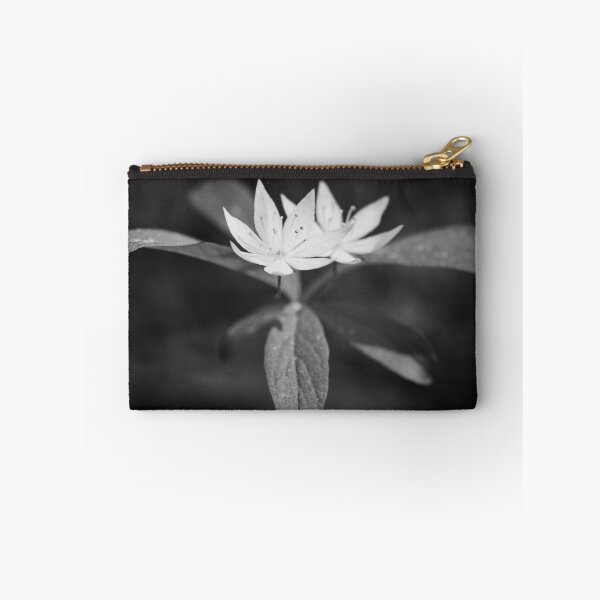 Item preview, Arctic starflower 6 bw designed and sold by Jouko Lehto Photography.