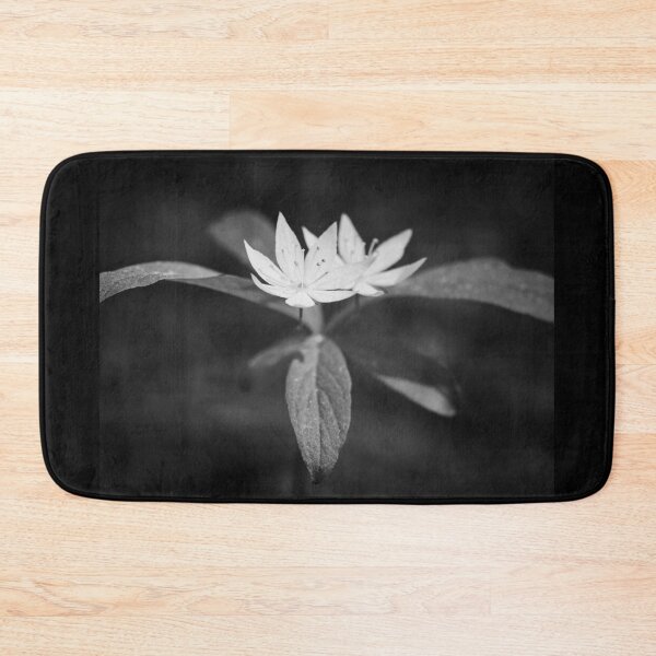 Item preview, Arctic starflower 6 bw designed and sold by Jouko Lehto Photography.
